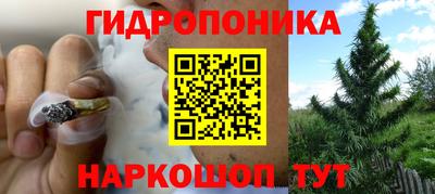 дмт Краснодар