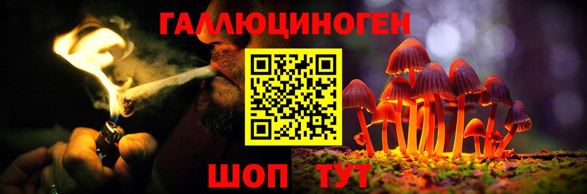 Галлюциногенные грибы Psilocybe  Вход с VPN  Псилоцибиновые грибы мицелий  Ивантеевка 